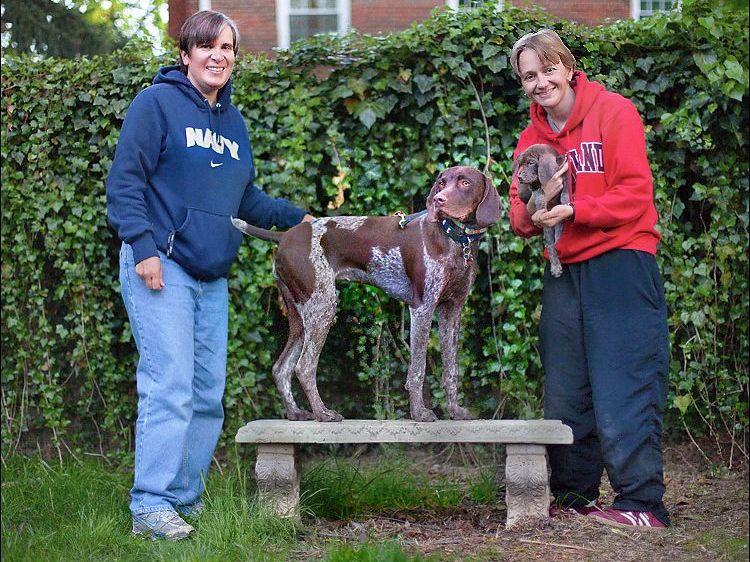 Enfield German Shorthairs German Shorthaired Pointer Puppies For Sale