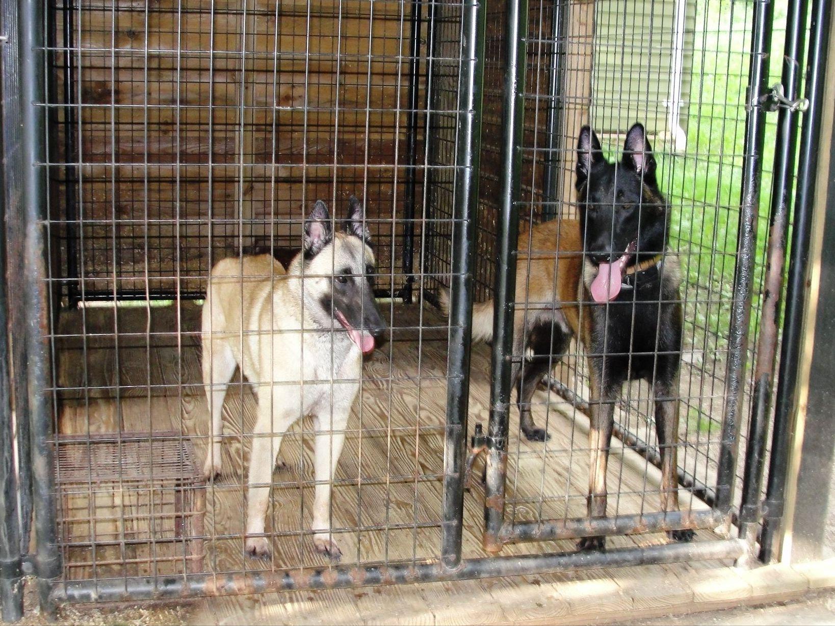 Dog Parks In Waldorf Maryland Dog Parks In Waldorf Maryland