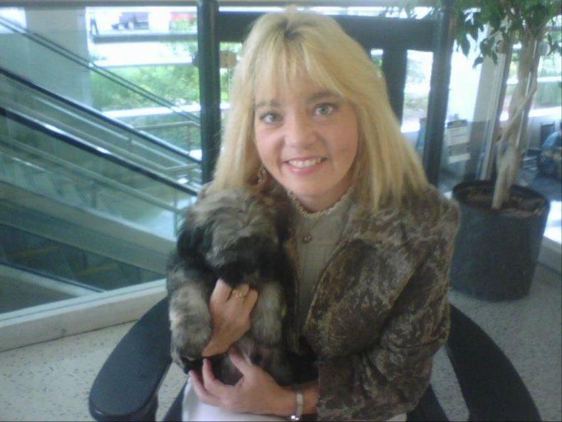 havanese breeders va havanese puppies for sale near fredericksburg virginia akc marketplace havanese breeders va havanese puppies for sale near fredericksburg virginia akc marketplace