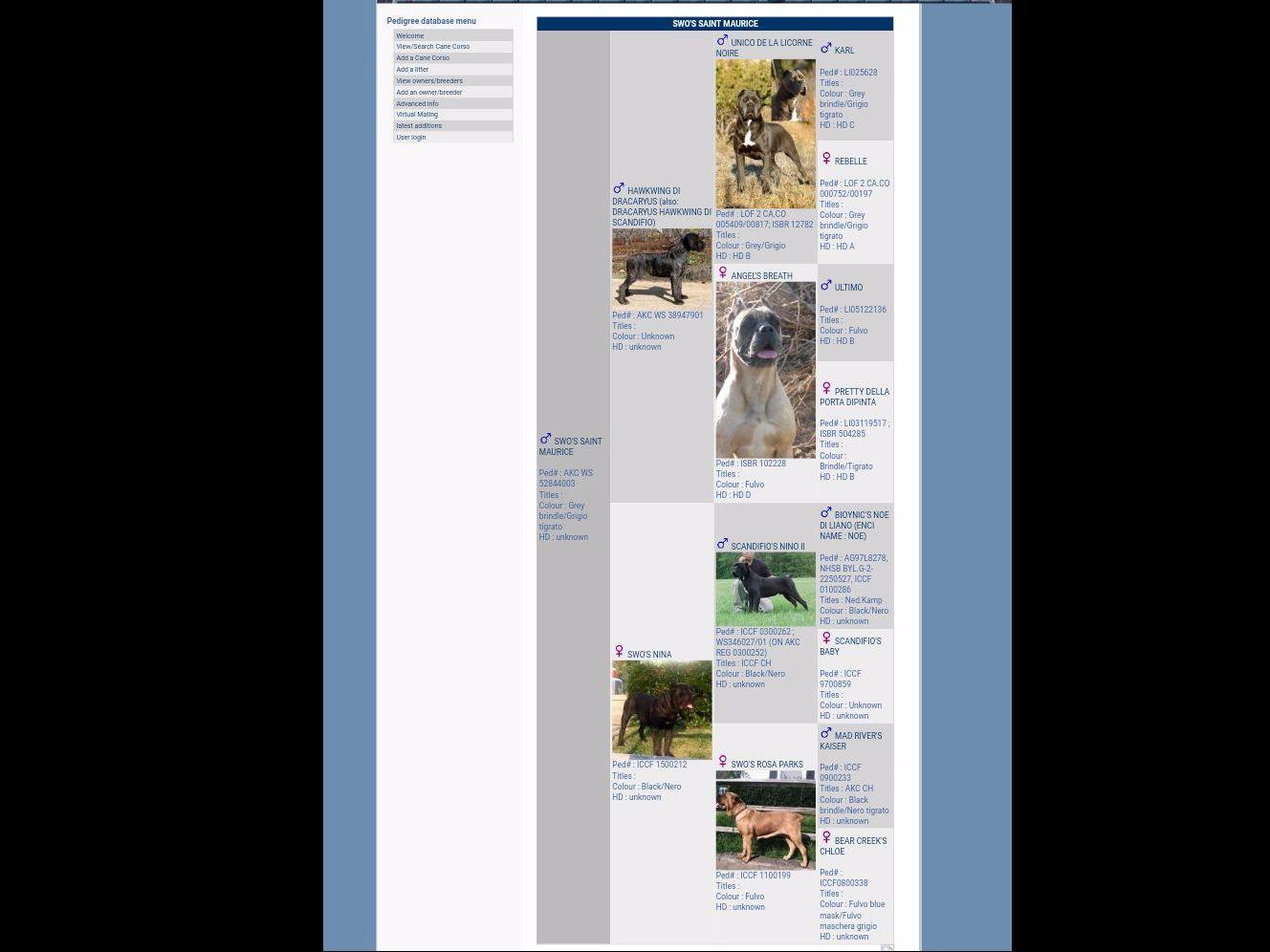 Southwestern Ohio Kennels Cane Corso Puppies For Sale