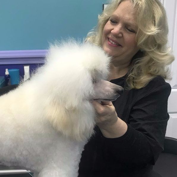 Love Fur Dogs Dog Grooming