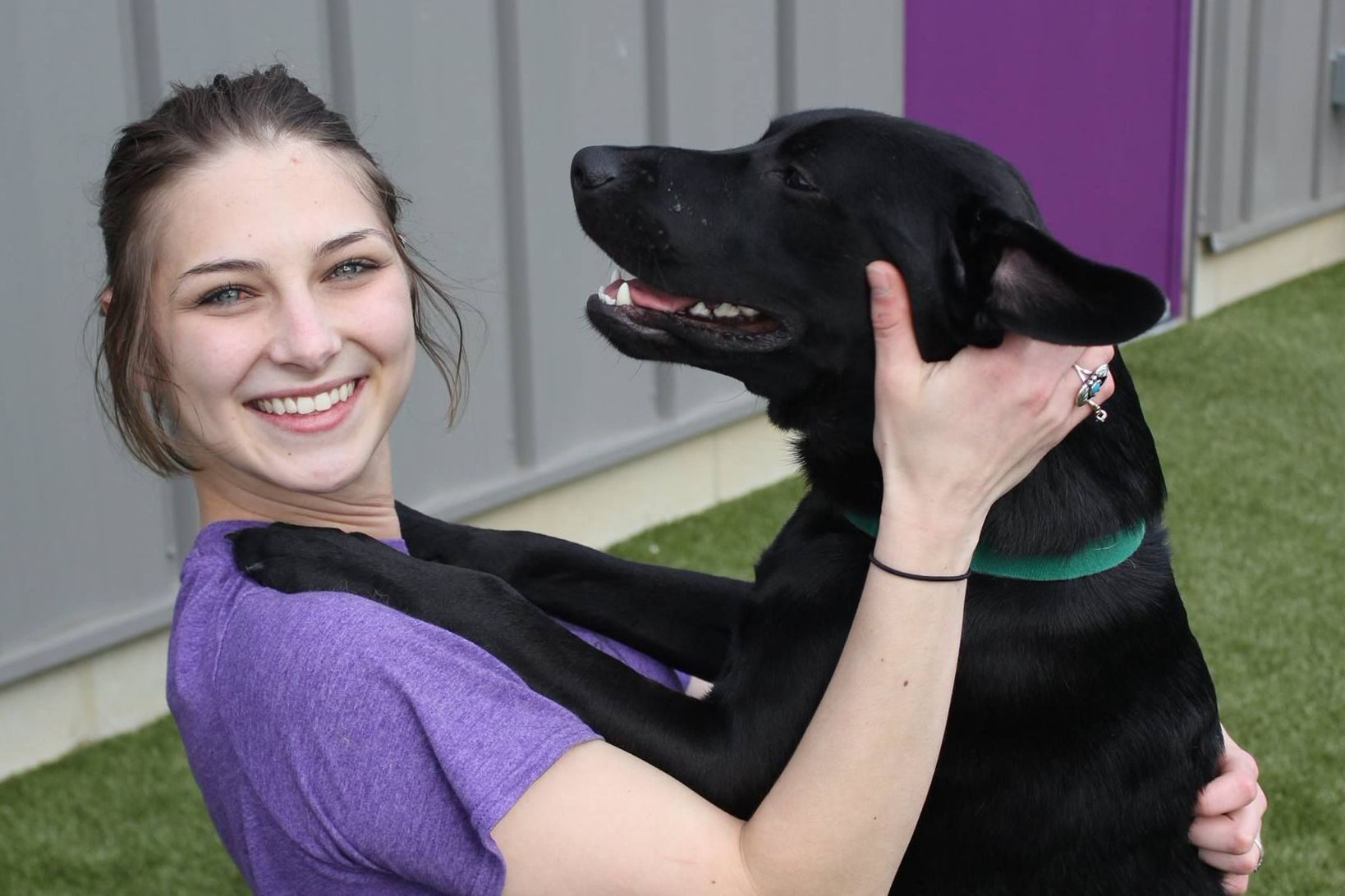 Pinnacle Pets Play And Stay Dog Grooming