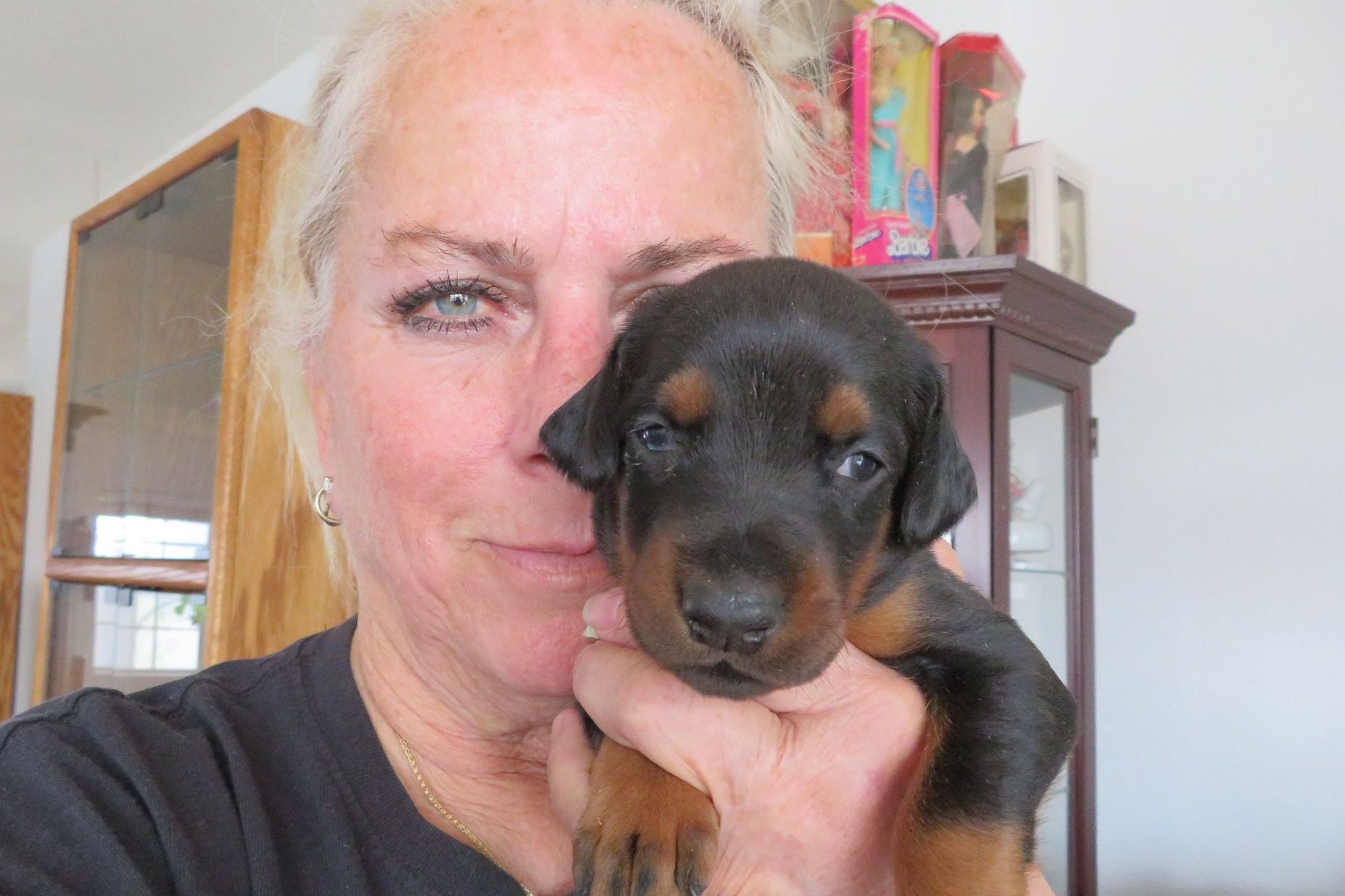 Conklins Doberman Pinschers Doberman Pinscher Puppies for Sale in
