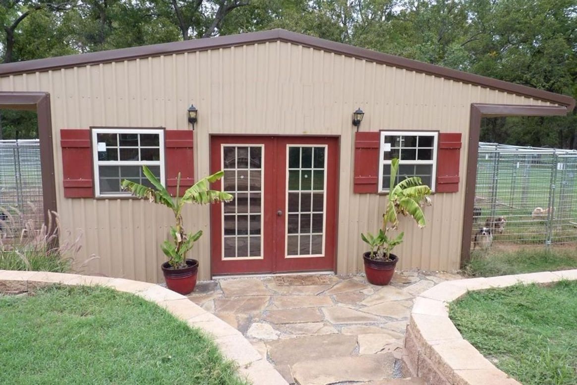 Rocking 2R Kennel Miniature American Shepherd Puppies for Sale in Comanche, OK AKC Marketplace