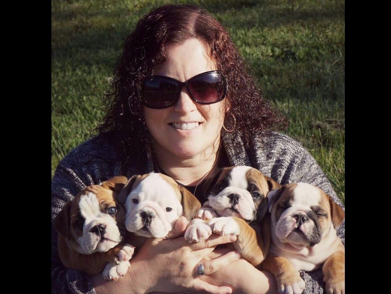 Momma's Family Furkids Bulldog Puppies for Sale in Harrisonville, MO