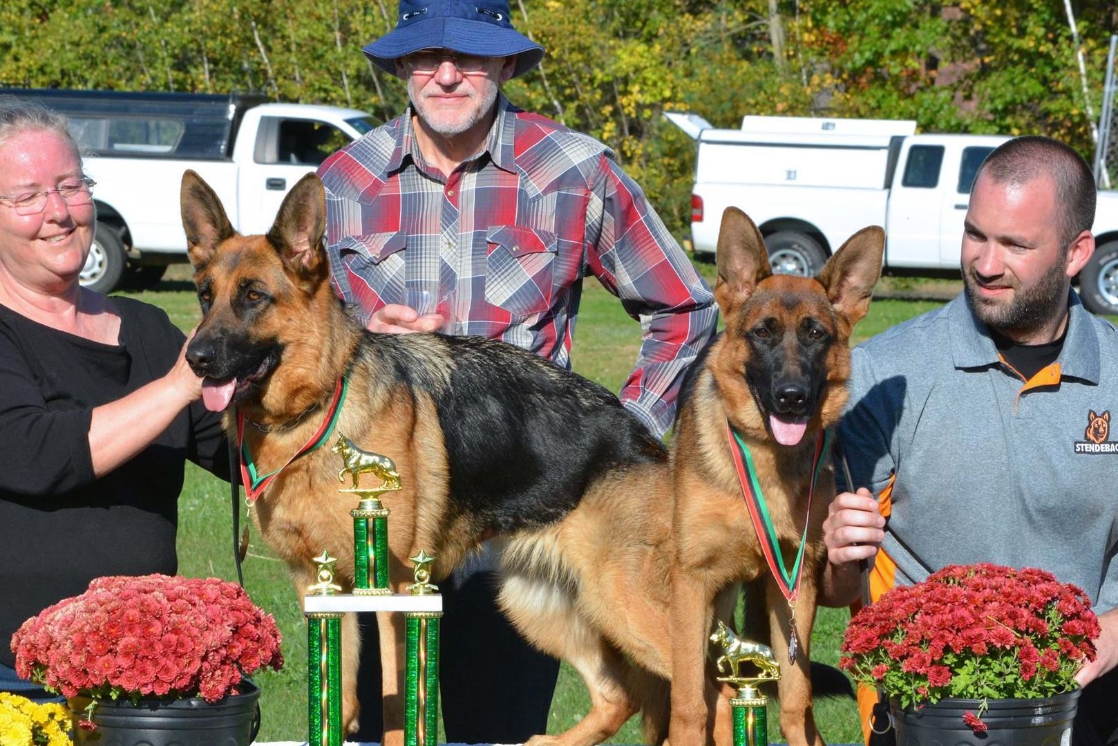 DeLeeuw German Shepherd Dogs German Shepherd Dog Puppies for Sale in