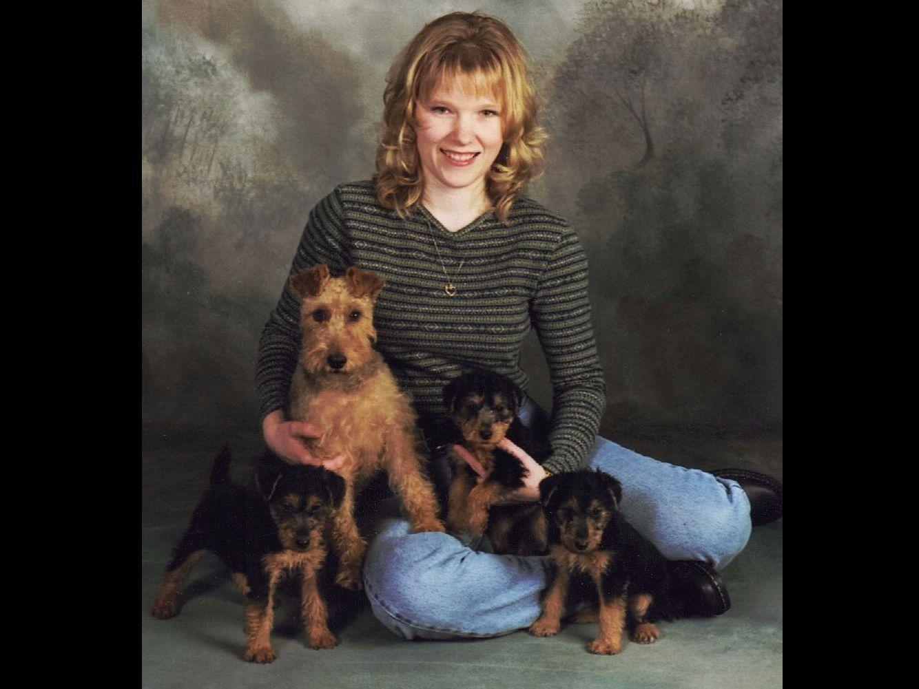 Woodland Terriers Welsh Terrier Puppies for Sale in Motley, MN AKC