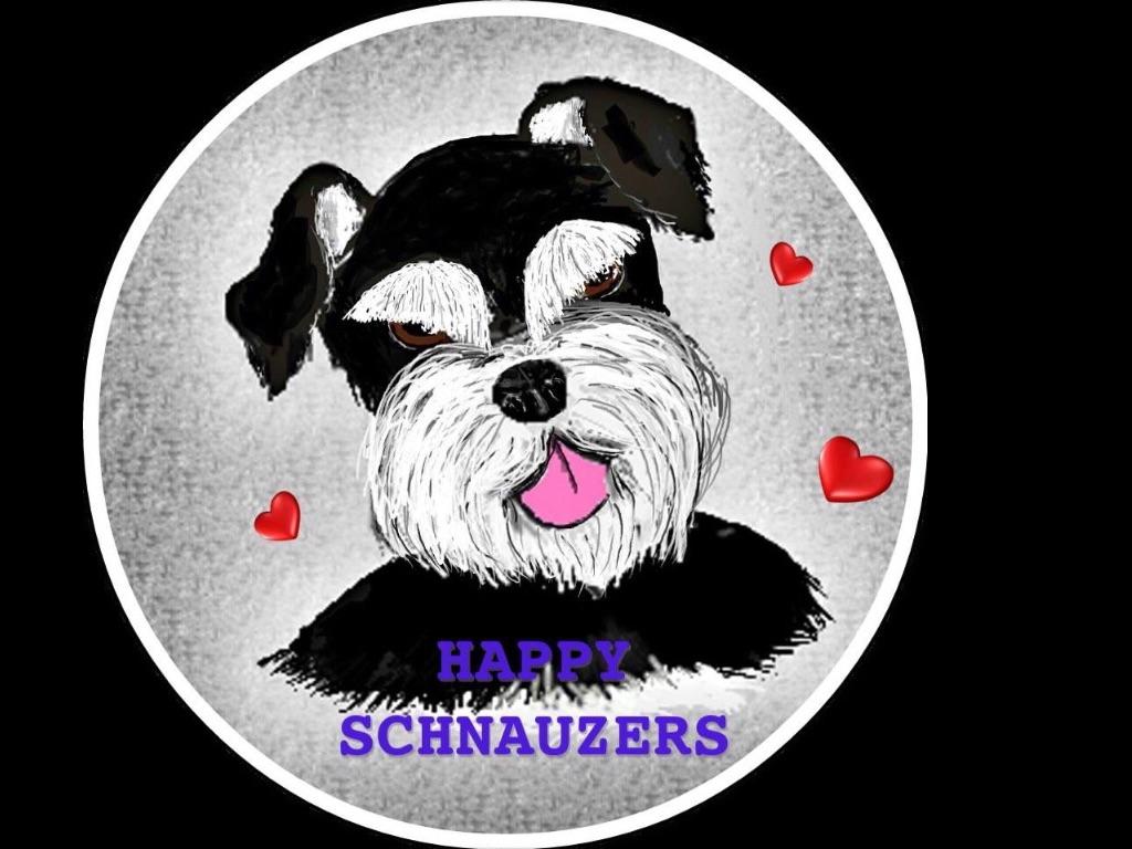 The Happy Schnauzer Place Miniature Schnauzer Puppies for Sale in