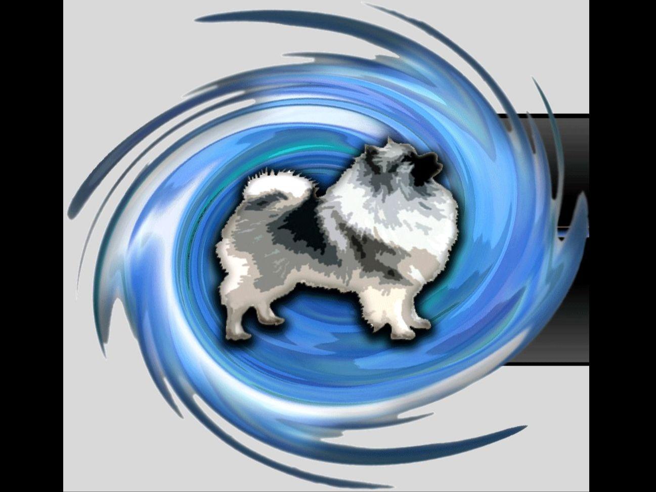 Whirlwind Keeshonden Keeshond Puppies for Sale in Lawrence, KS AKC